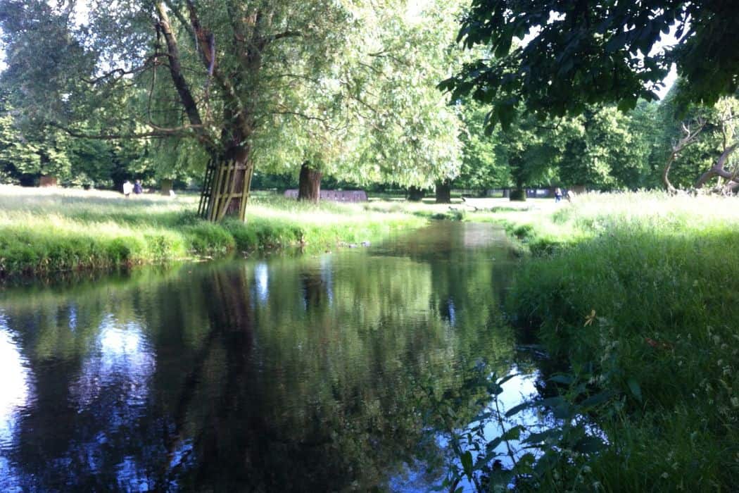 Bushy Park Longford river