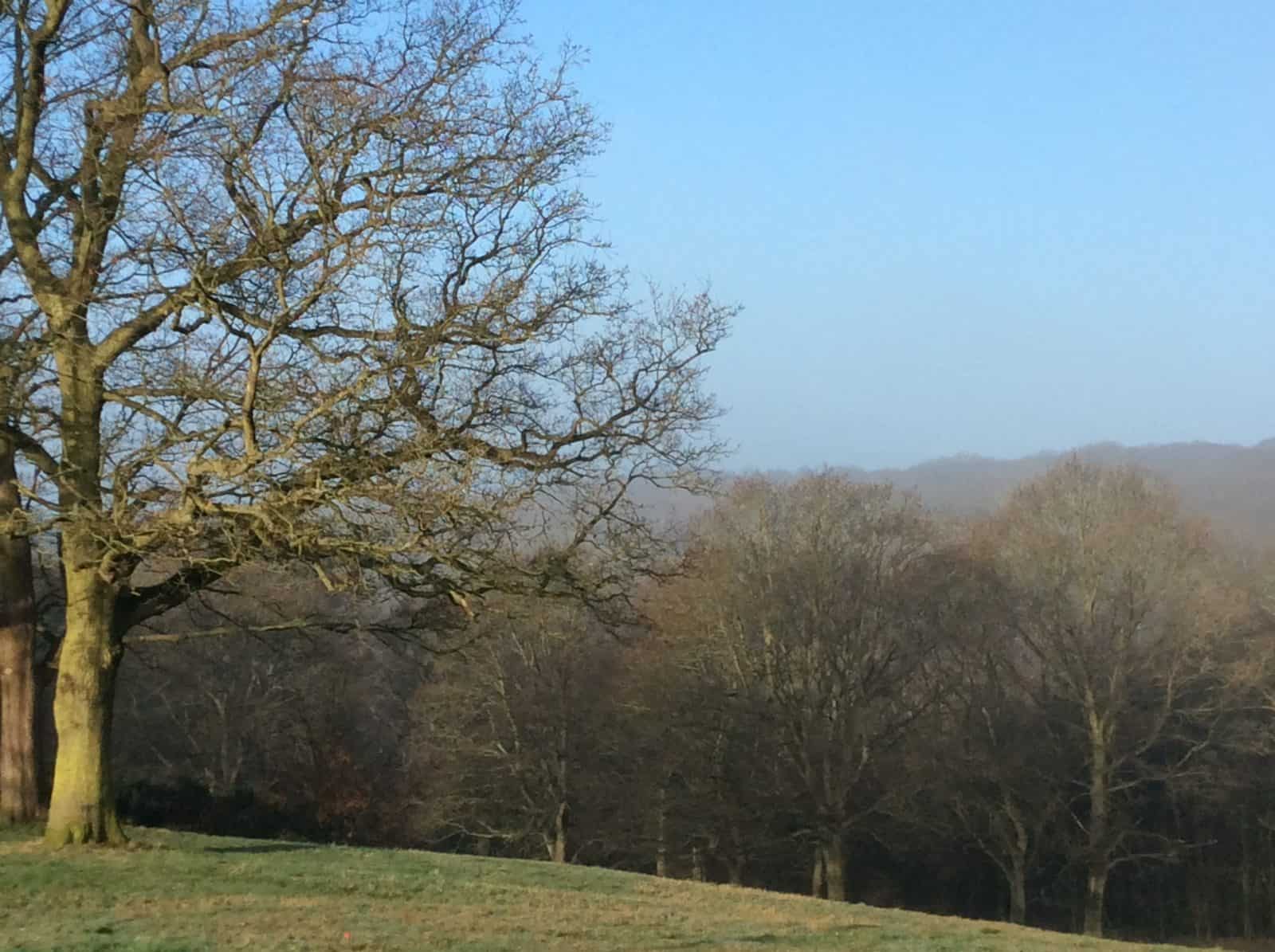 Epping Forest