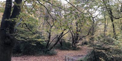 Epping Forest