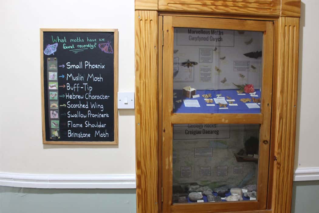 Display at FSC Rhyd-y-creuau