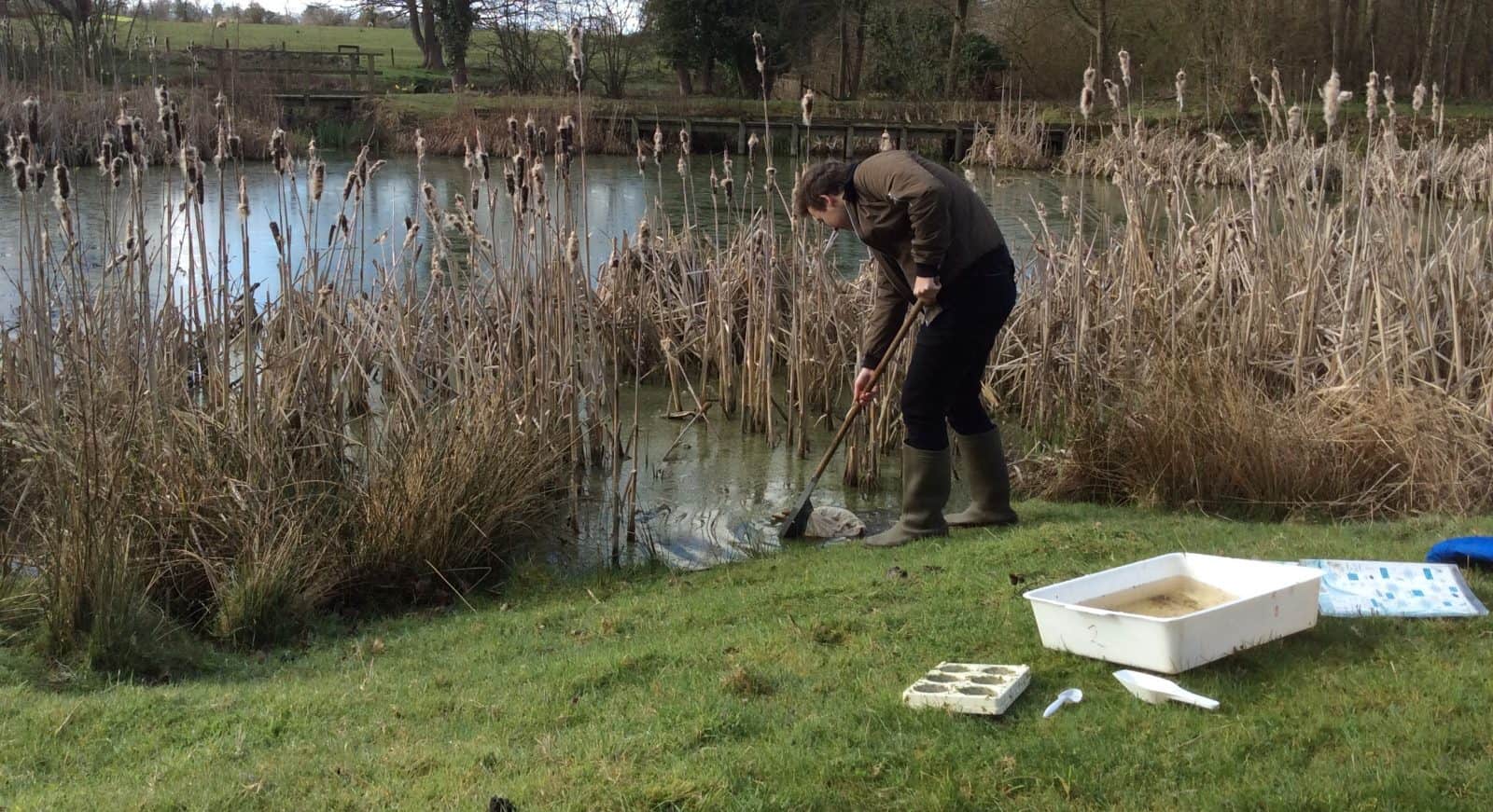 A level student sampling biology in a pond