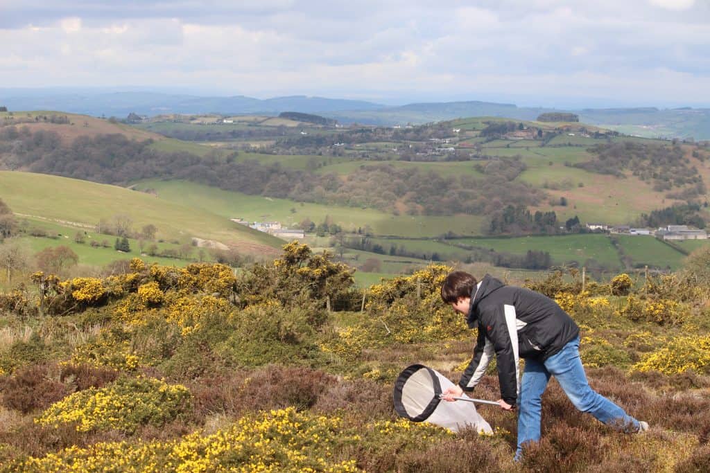 A level student sampling biology on moorland