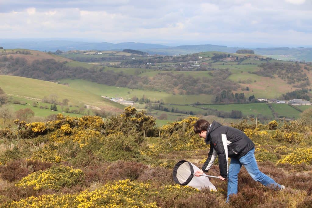 A level student sampling biology on moorland