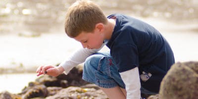 Curious Coastal Creatures