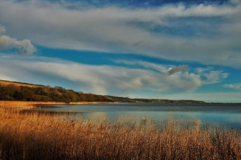 View of Slapton Ley National Nature Reserve