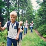 Group of primary school children hiking in forest
