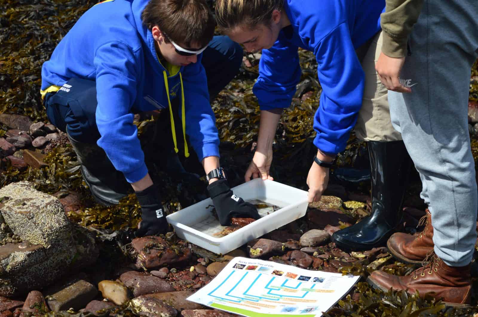 MSC students collecting marine samples