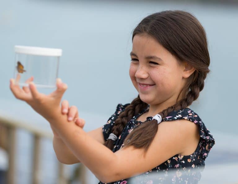 Primary school student looking at a moth in a pot