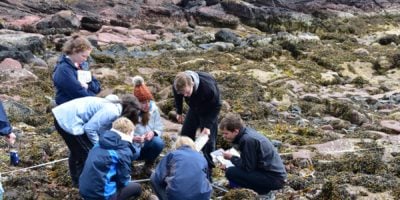 Group of students on the rocky shore looking in tray