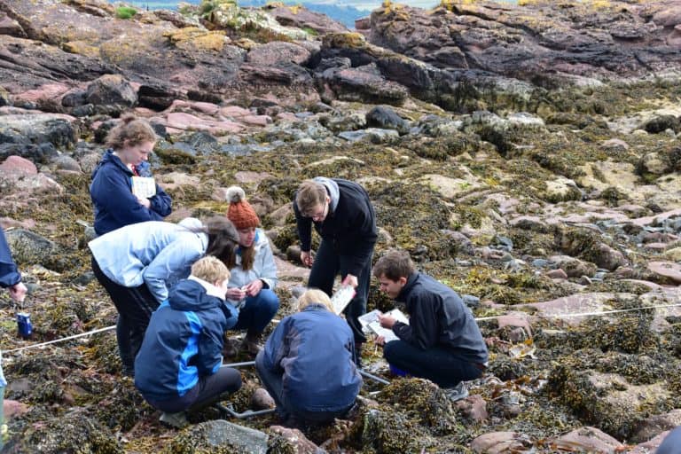 Group of students on the rocky shore looking in tray