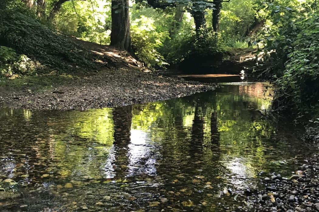 Beckenham Place Park river