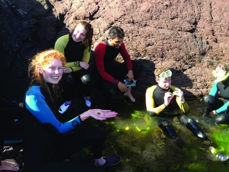 group rock pooling