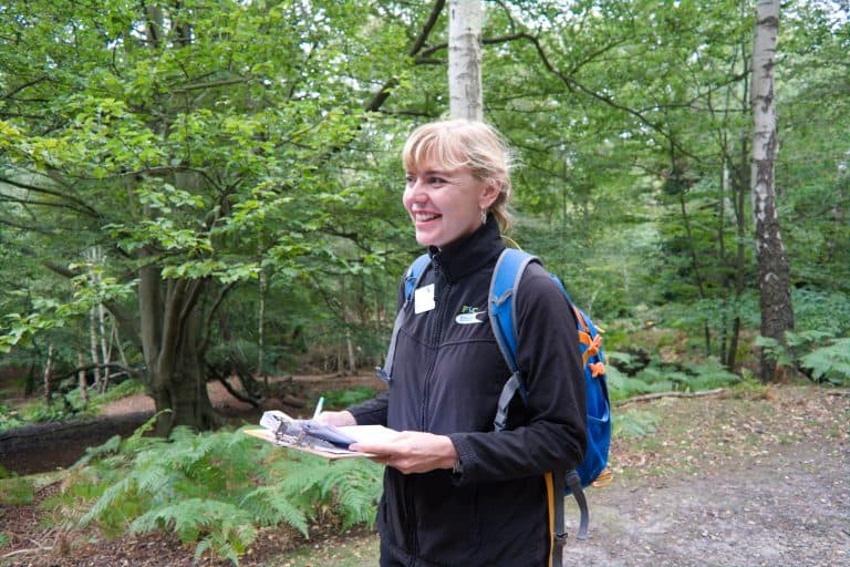 fsc tutor in woods