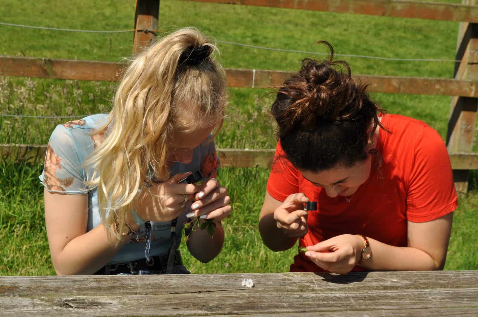 Young people looking through microscopes