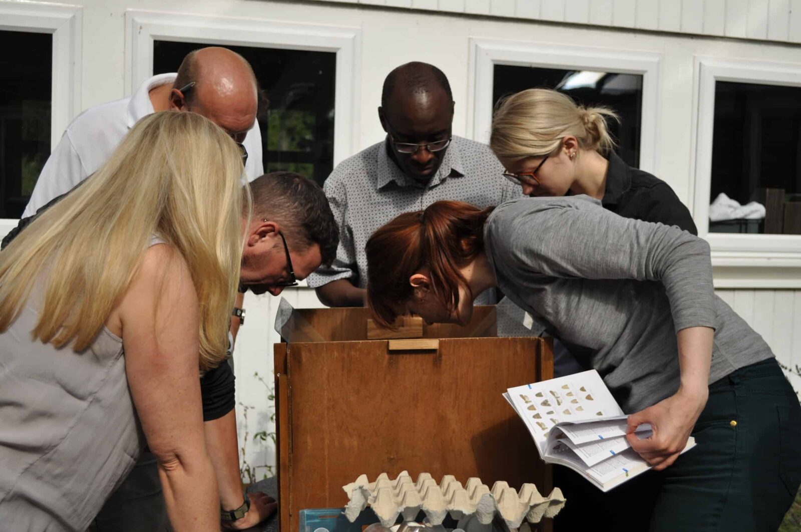 Head Office staff moth trapping in the courtyard