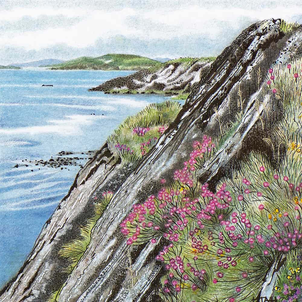 Gigha Shore in ink and coloured pencil