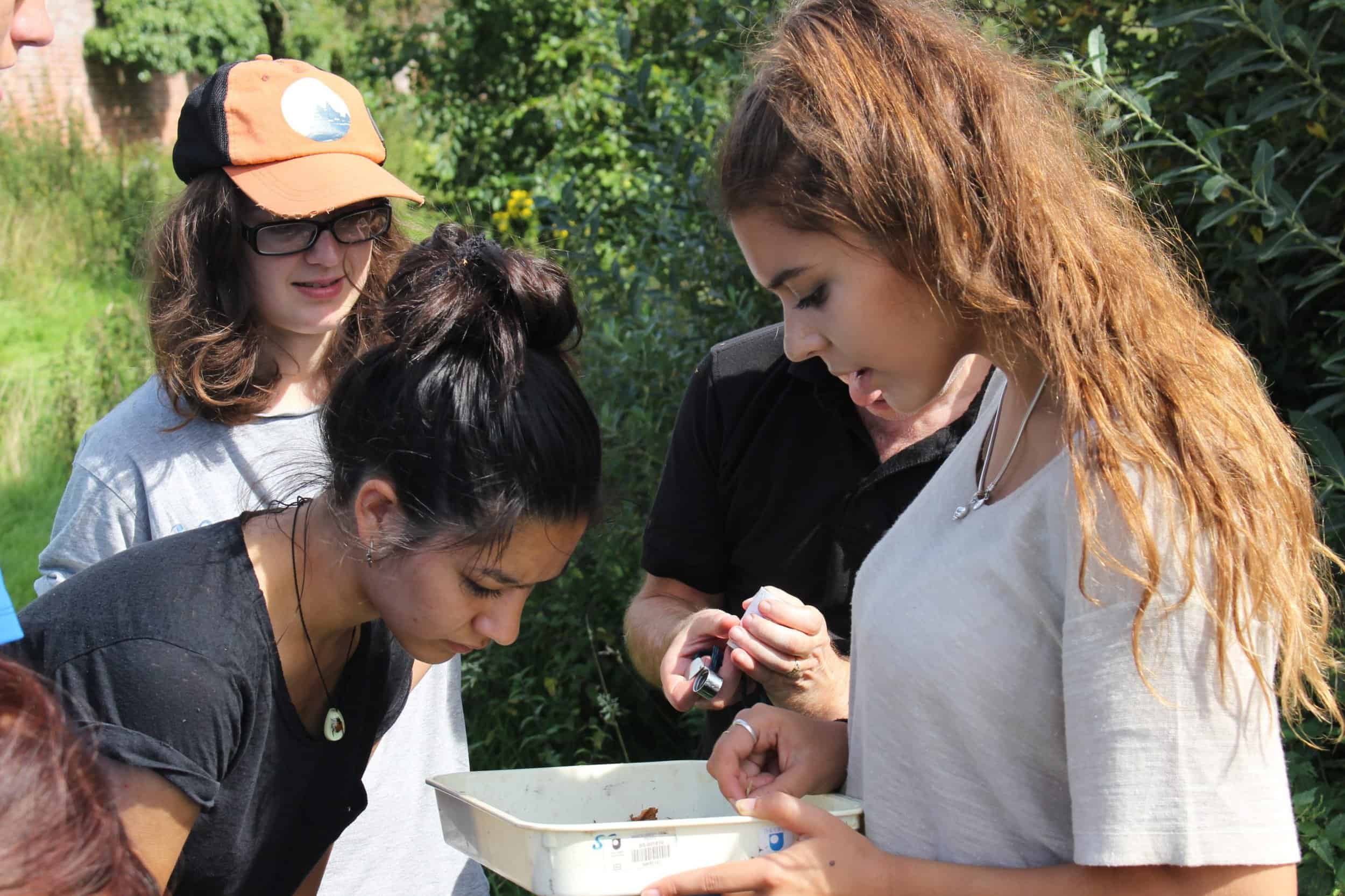 Young Darwin Scholars looking at insects in a tray
