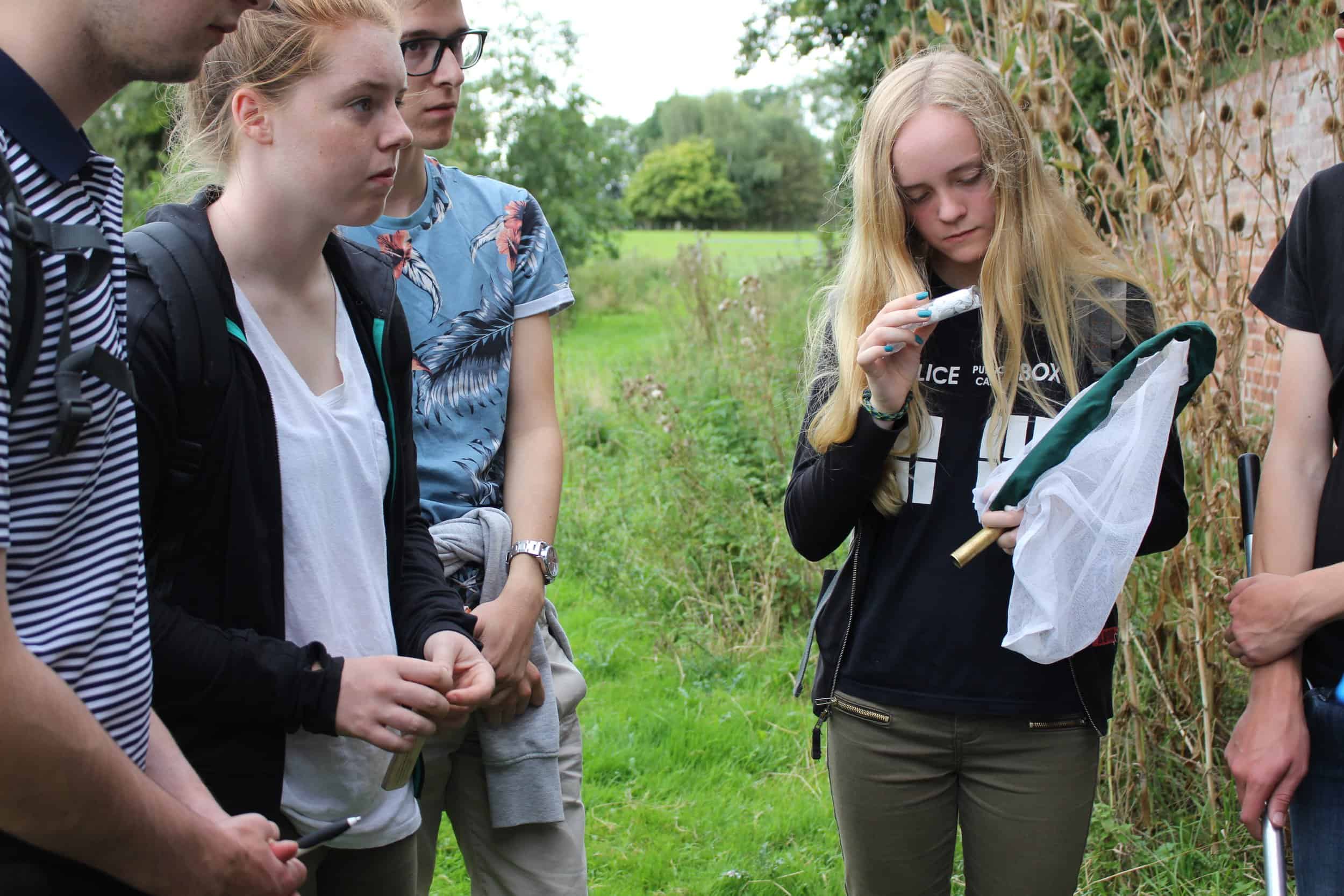 Young Darwin Scholars looking at insects