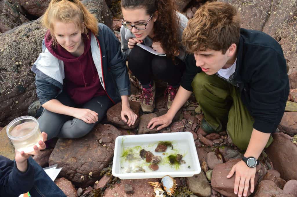 Three teenagers rock pooling