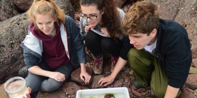 Three teenagers rock pooling