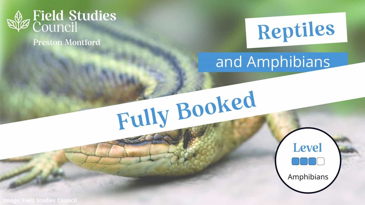 Fully Booked - Reptiles and Amphibian – Field Studies Council