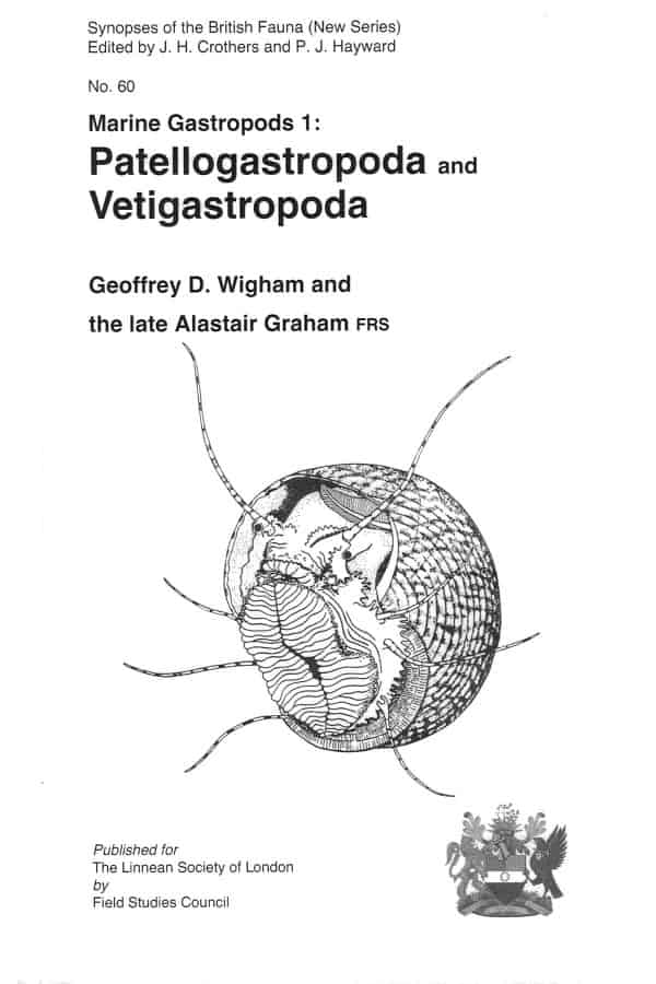 marine gastropods 1