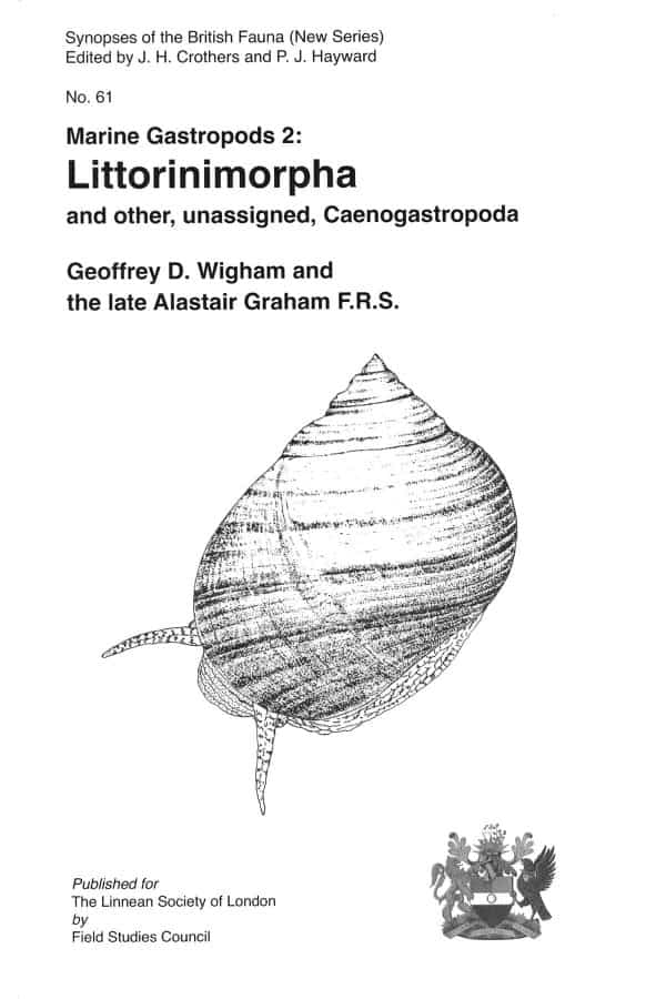marine gastropods 2