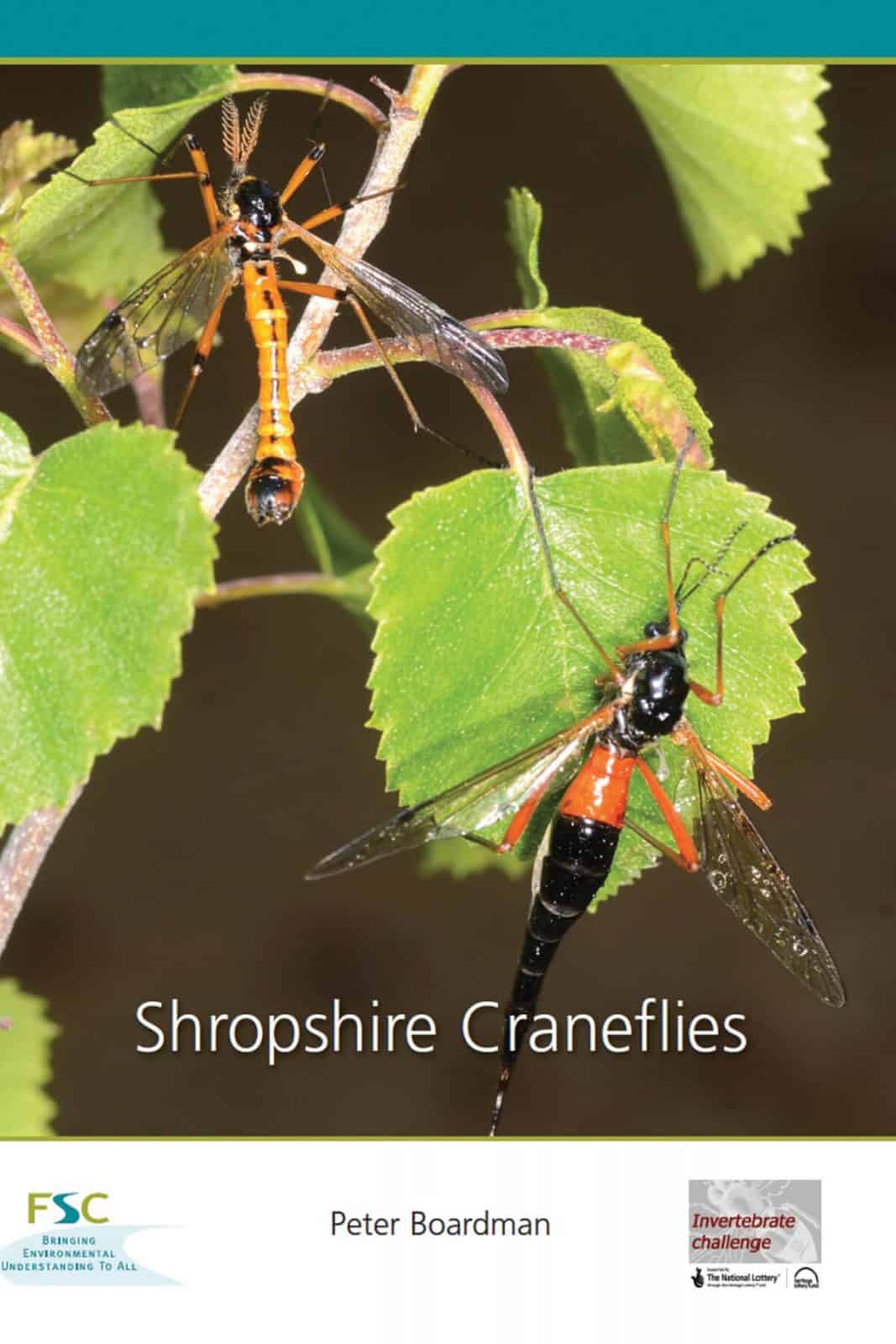 Shropshire Craneflies