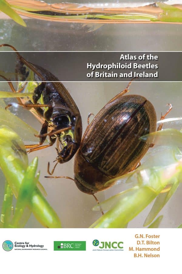 Hydrophiloid beetles atlas
