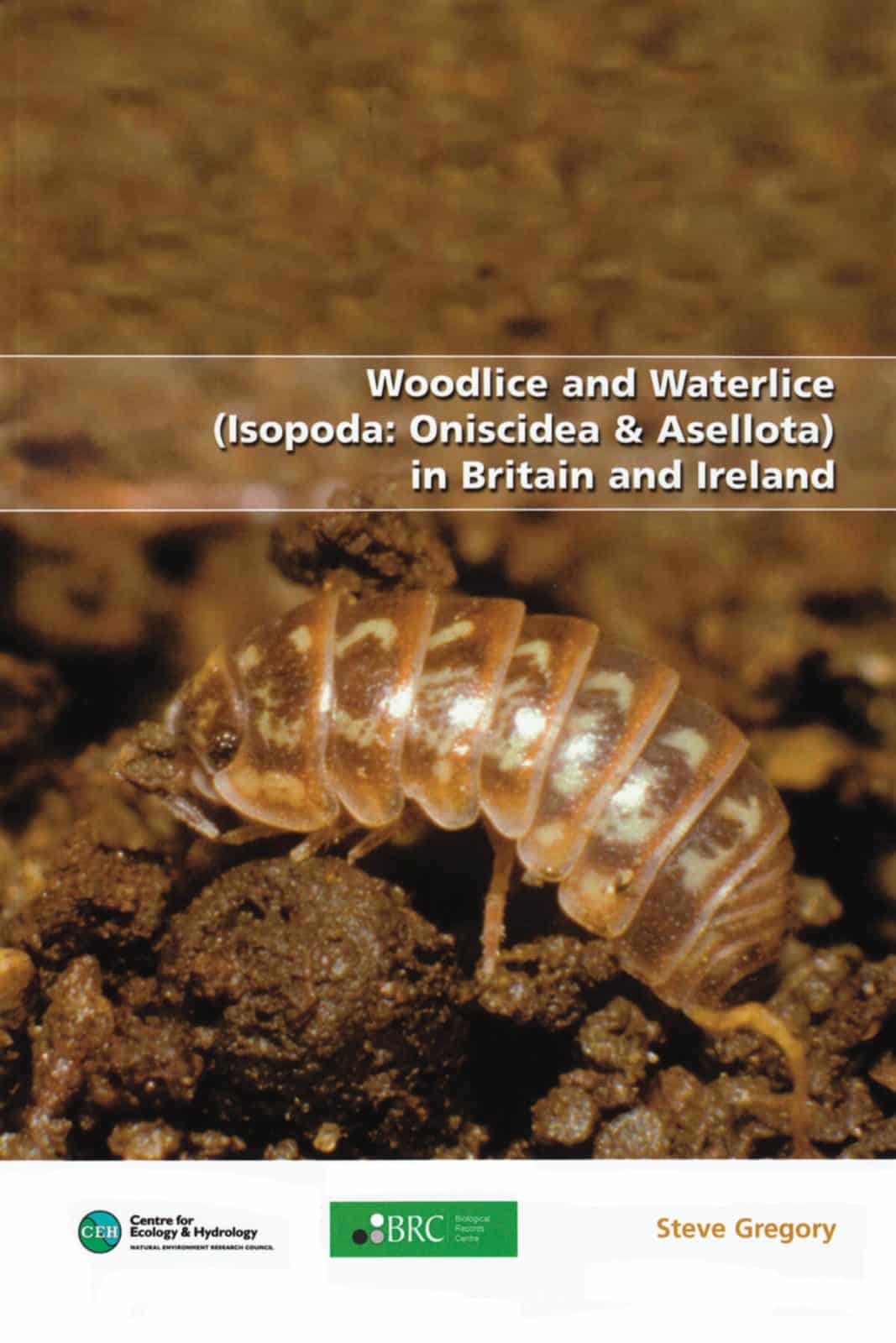 woodlice and waterlice