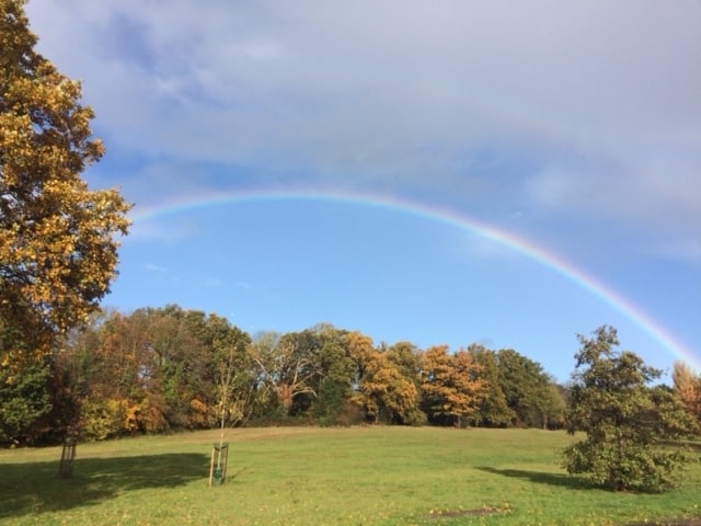 rainbow bekenham place park