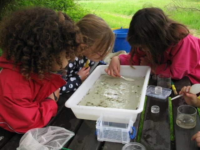 pond dipping group