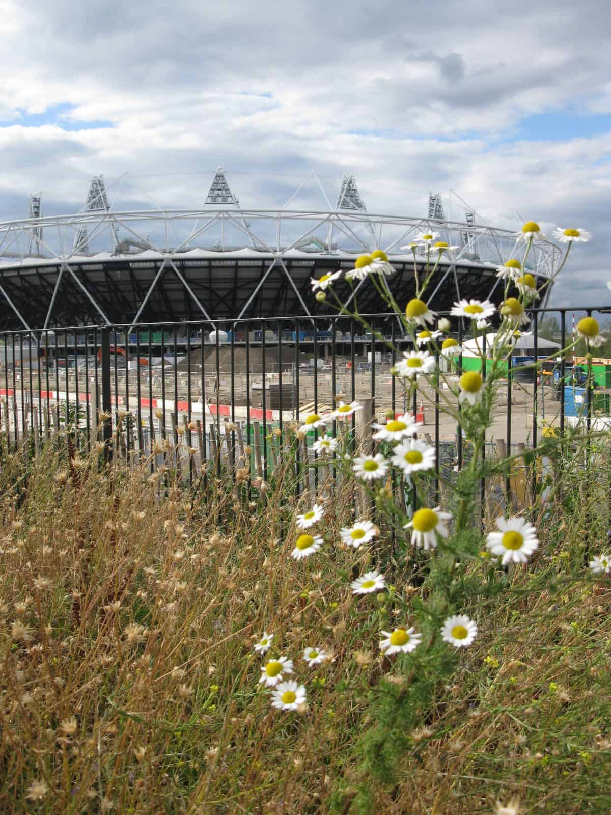 Olympic stadium