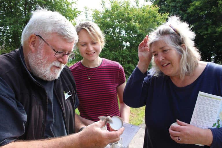 three people studying a moth