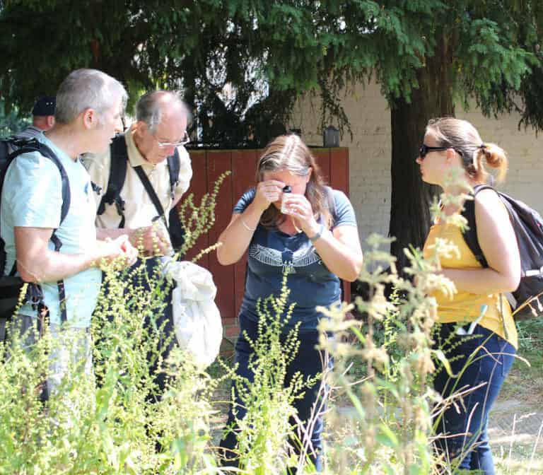 spider identification course