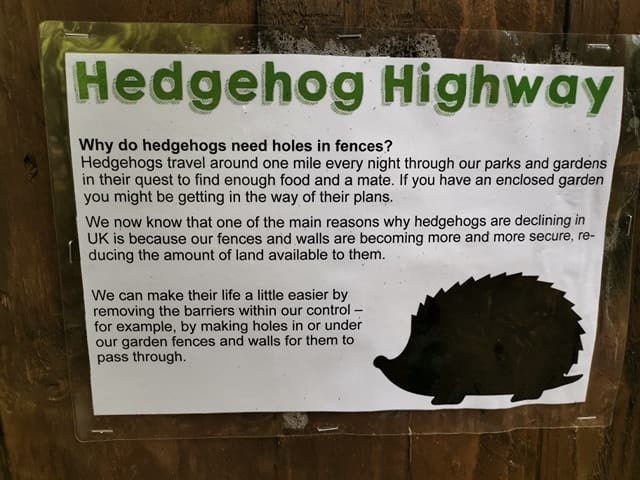 Informative hedgehog sign at FSC Rhyd-y-creuau