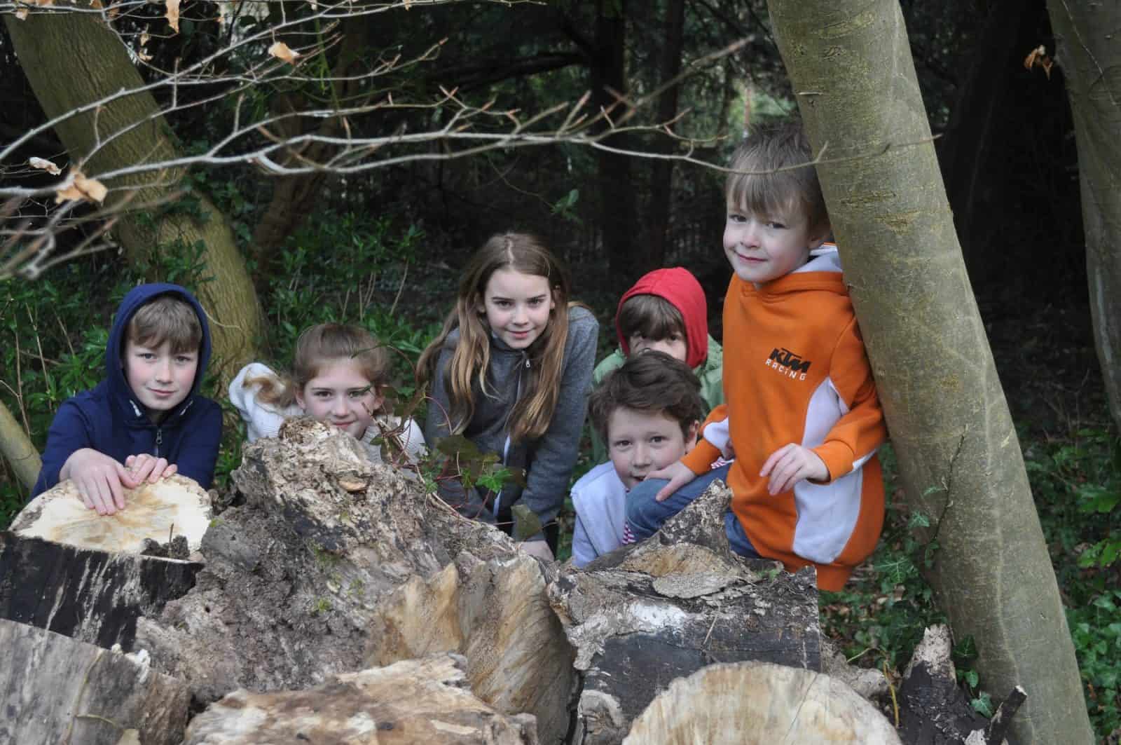 Kids behind wood pile