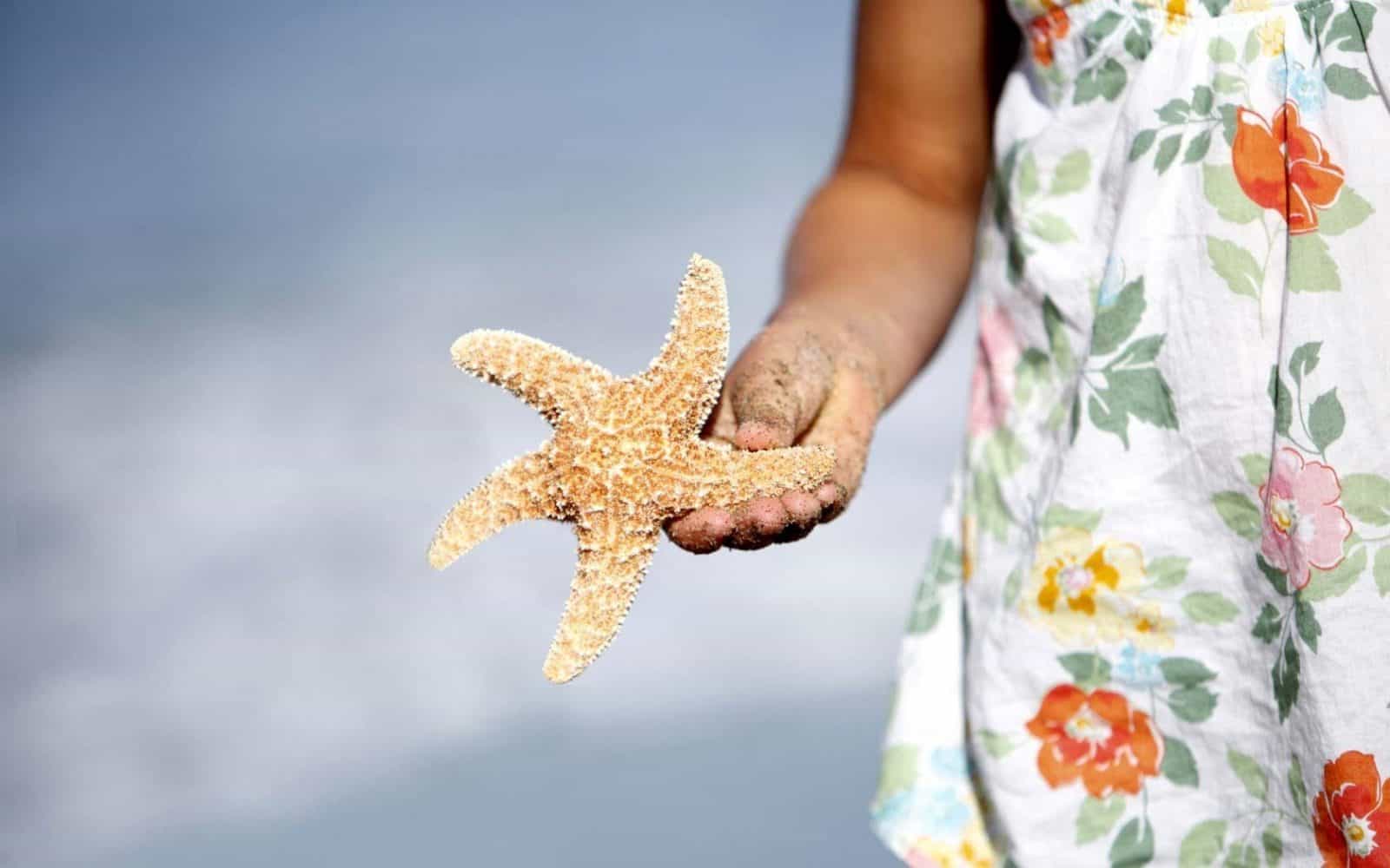Child's sandy hand holding a starfish
