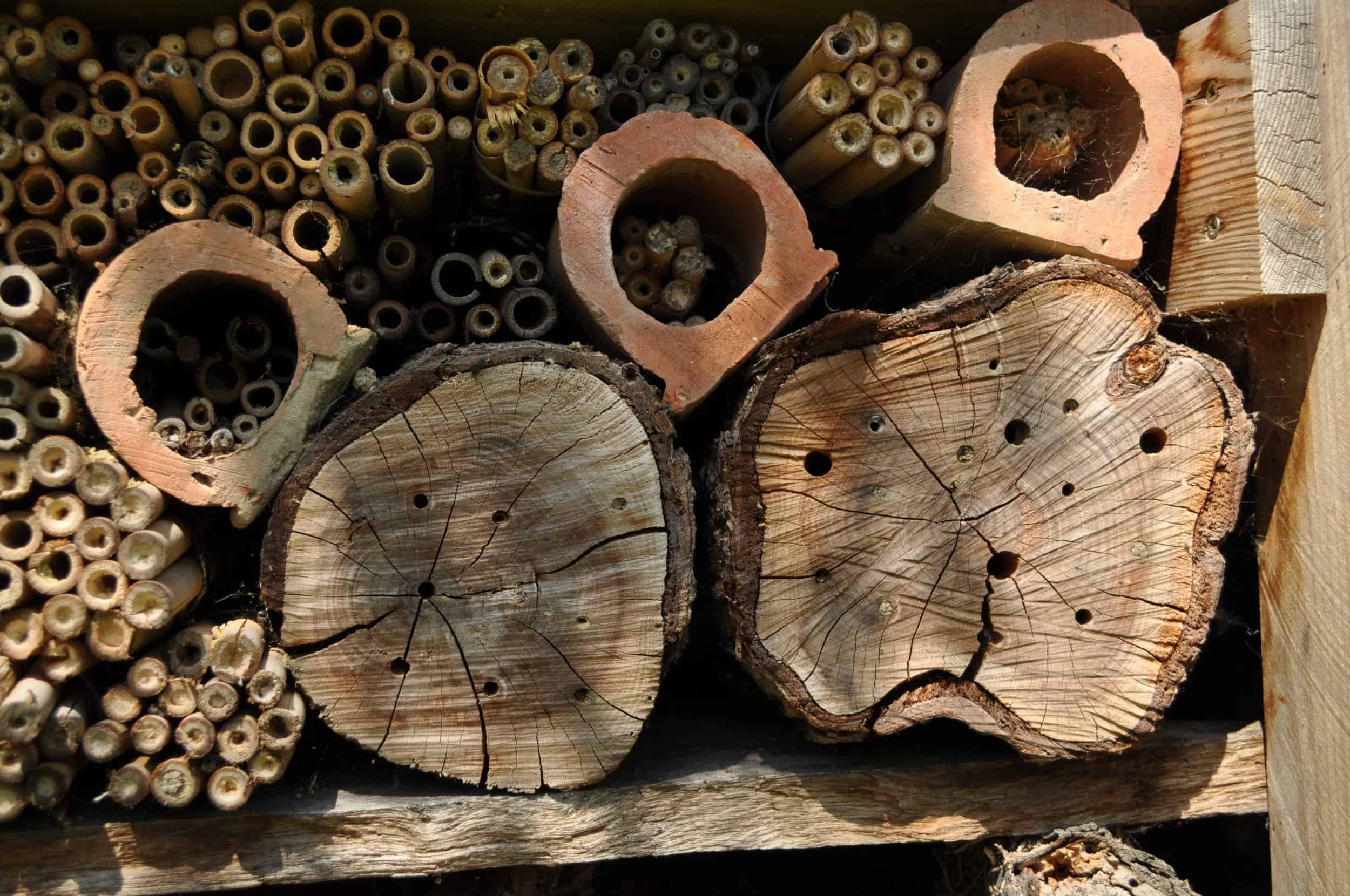 close up of a bug hotel