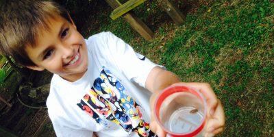 Young boy holding species in a pot after bio-blitzing