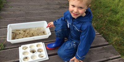 Toddler looking at water invertebrates