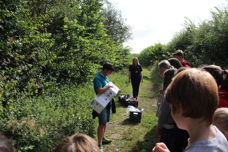 group being taught