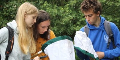 a level students taking part in bioblitz