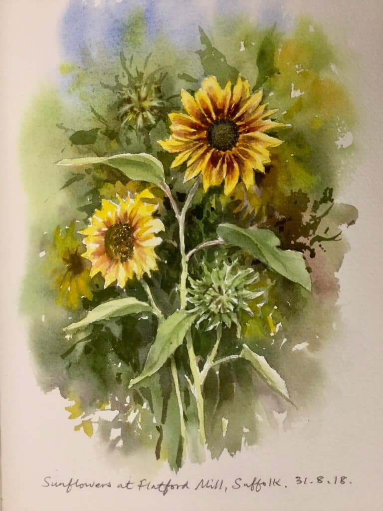 watercolour painting of sunflowers