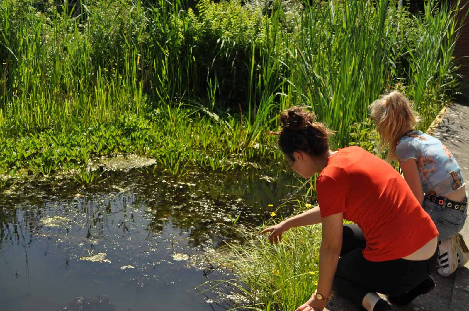 Students looking in to the pond at FSC Preston Montford