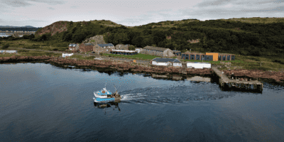 Millport and the Actinia