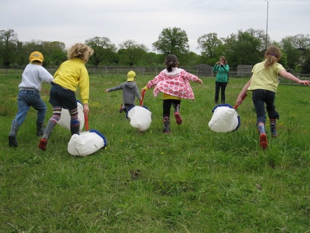 children sweeping for insects