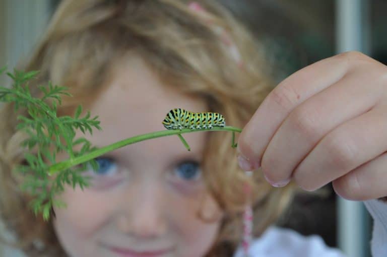 girl with caterpillar