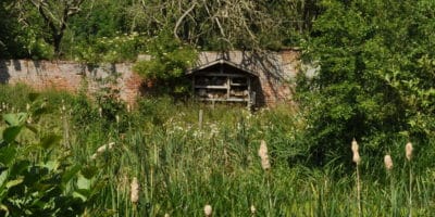 view of pond plants and bee hotel