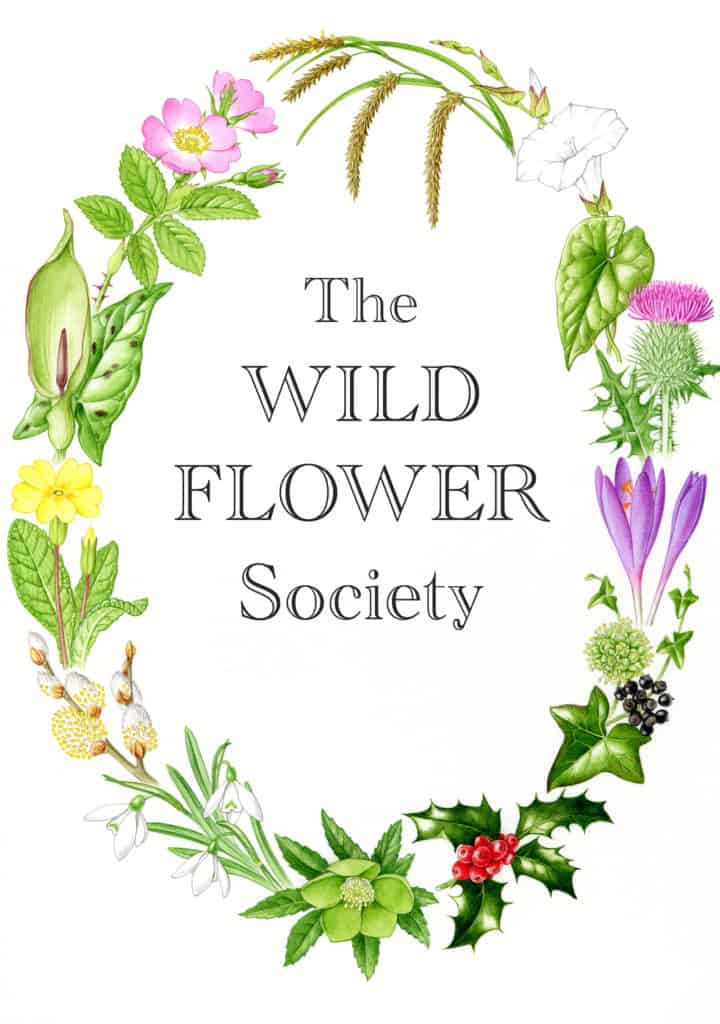 Wildflower Society logo
